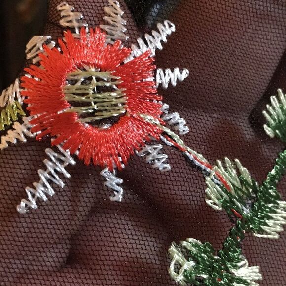 Sheer Embroidered Collared button Down Top - Picture 5 of 9